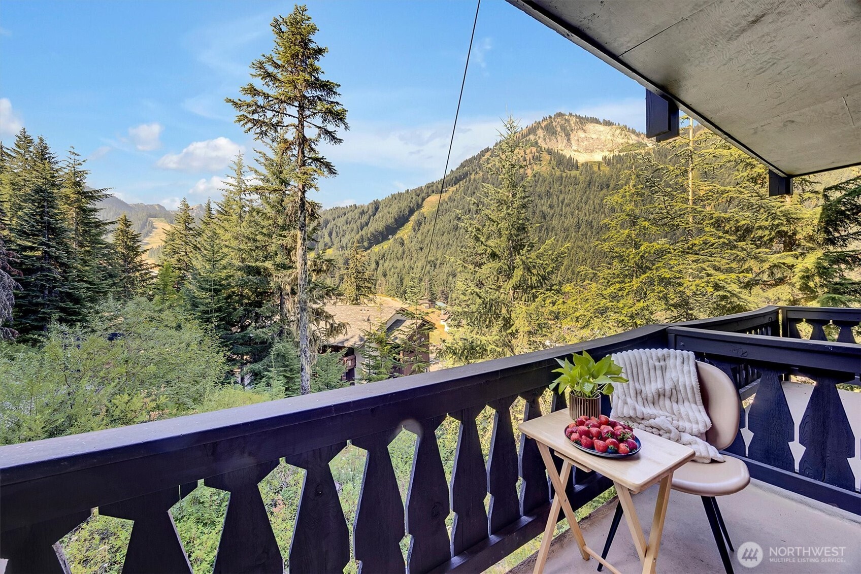 33613 Crystal Mountain Boulevard 502 Property Photo 19