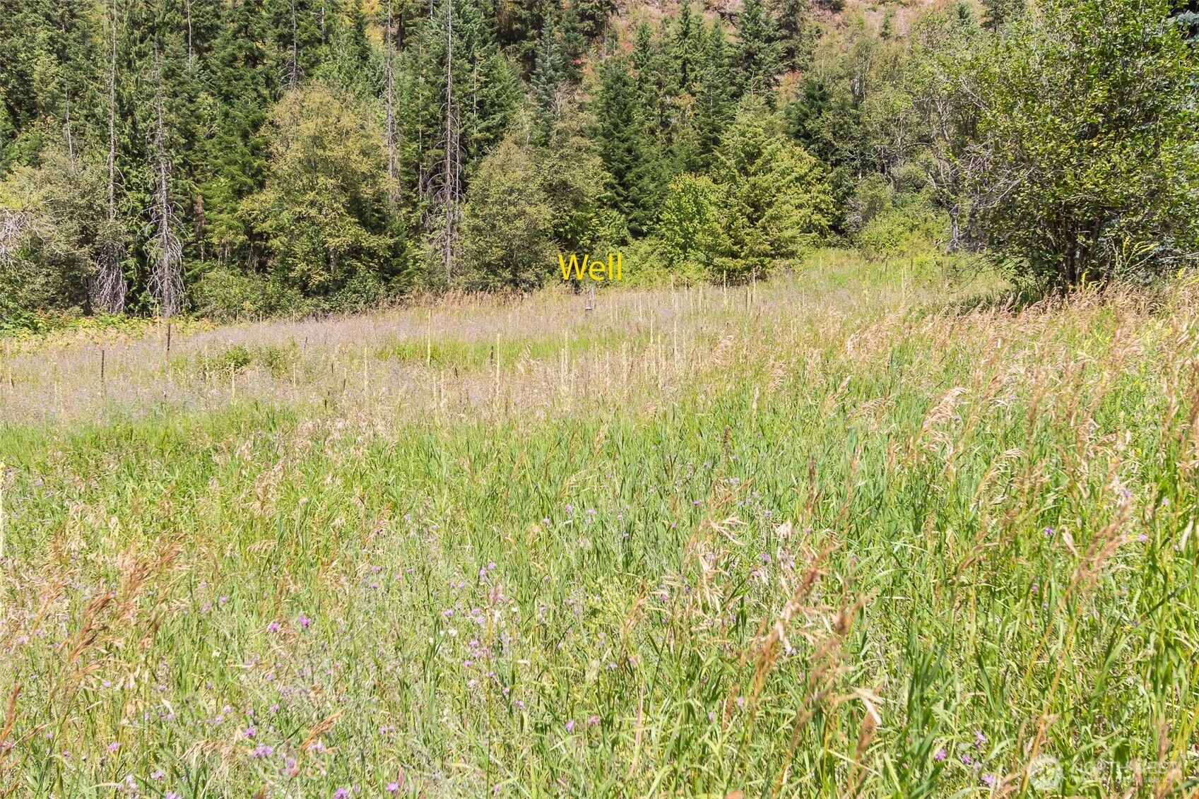 43 Xx Sullivan Lake Road Property Photo 24