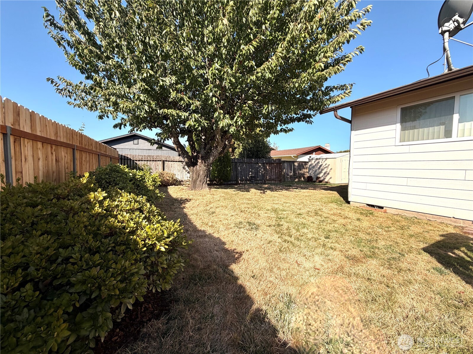 3430 Olive Way Property Photo 16