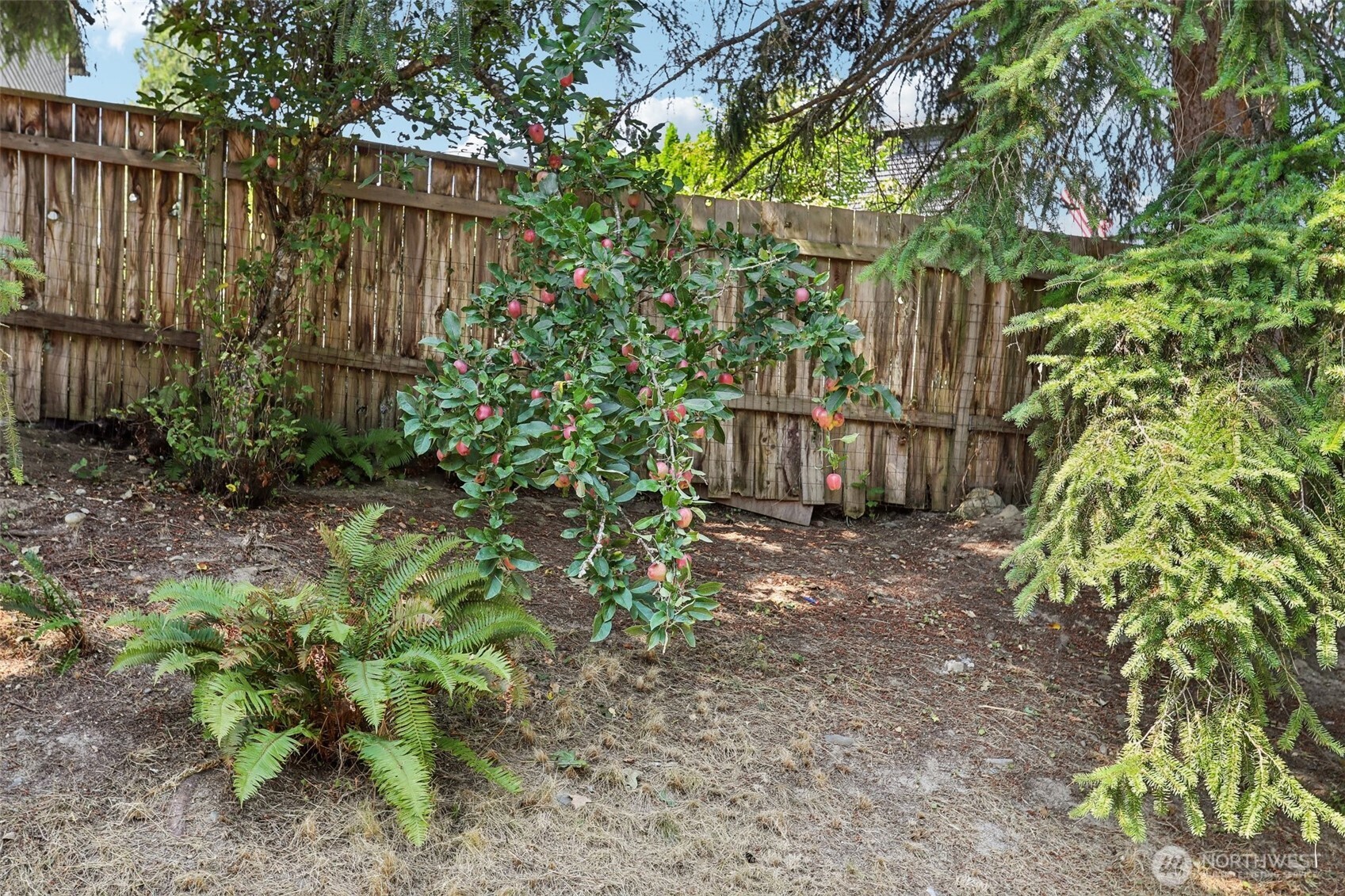 814 S Davies Road Property Photo 21