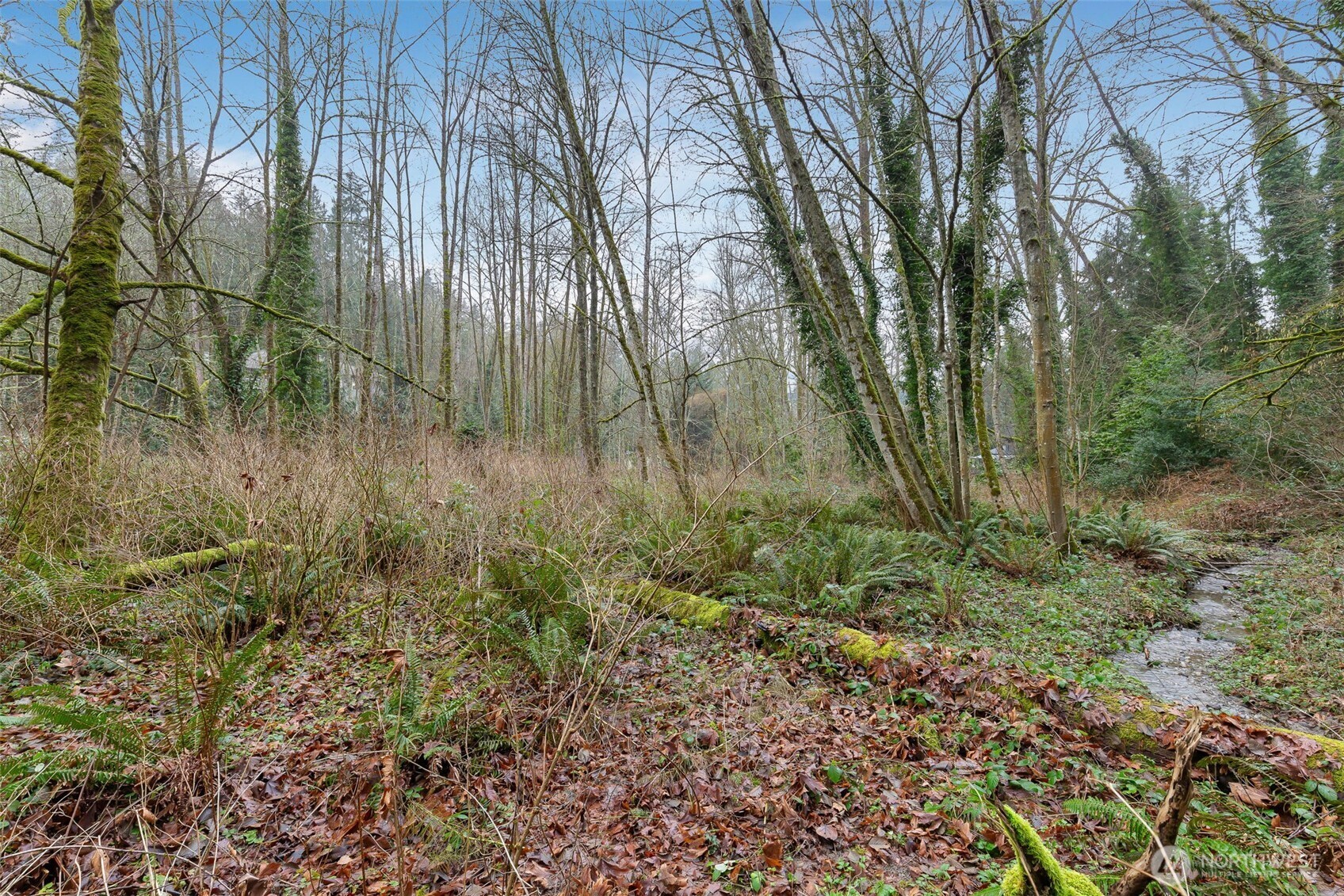 16 Xxx 76th Place Property Photo 2