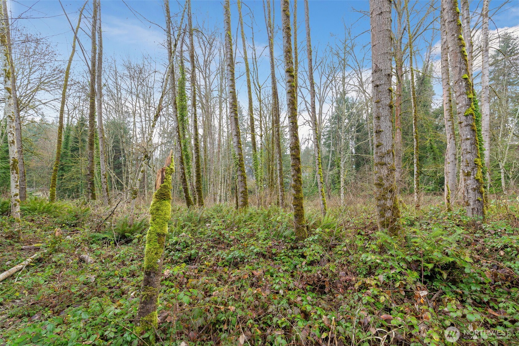16 Xxx 76th Place Property Photo 3