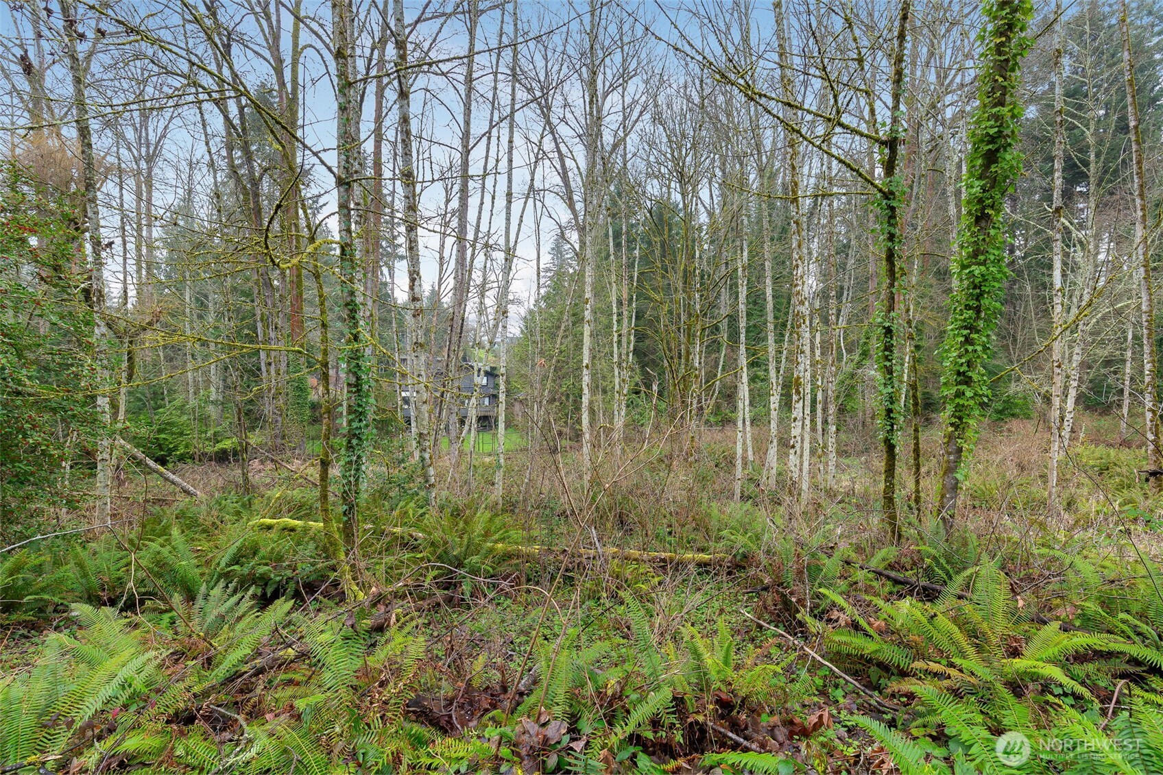 16 Xxx 76th Place Property Photo 4