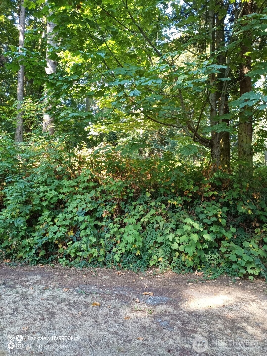 86 G Hat Place Property Photo 1