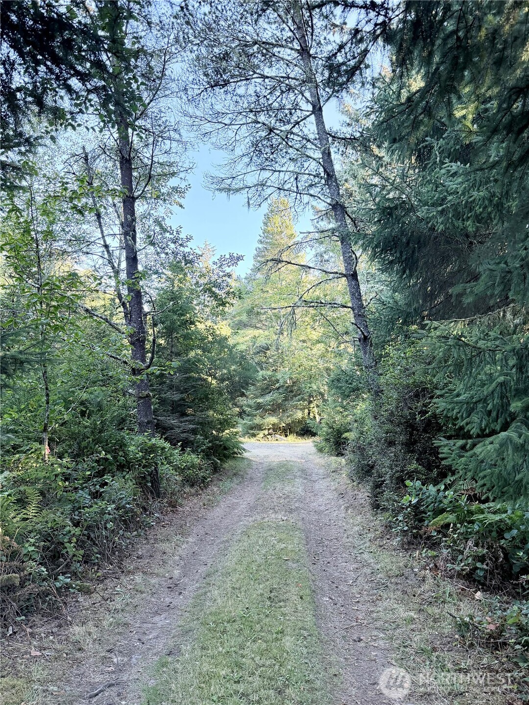28310 Y Lane Property Photo 3