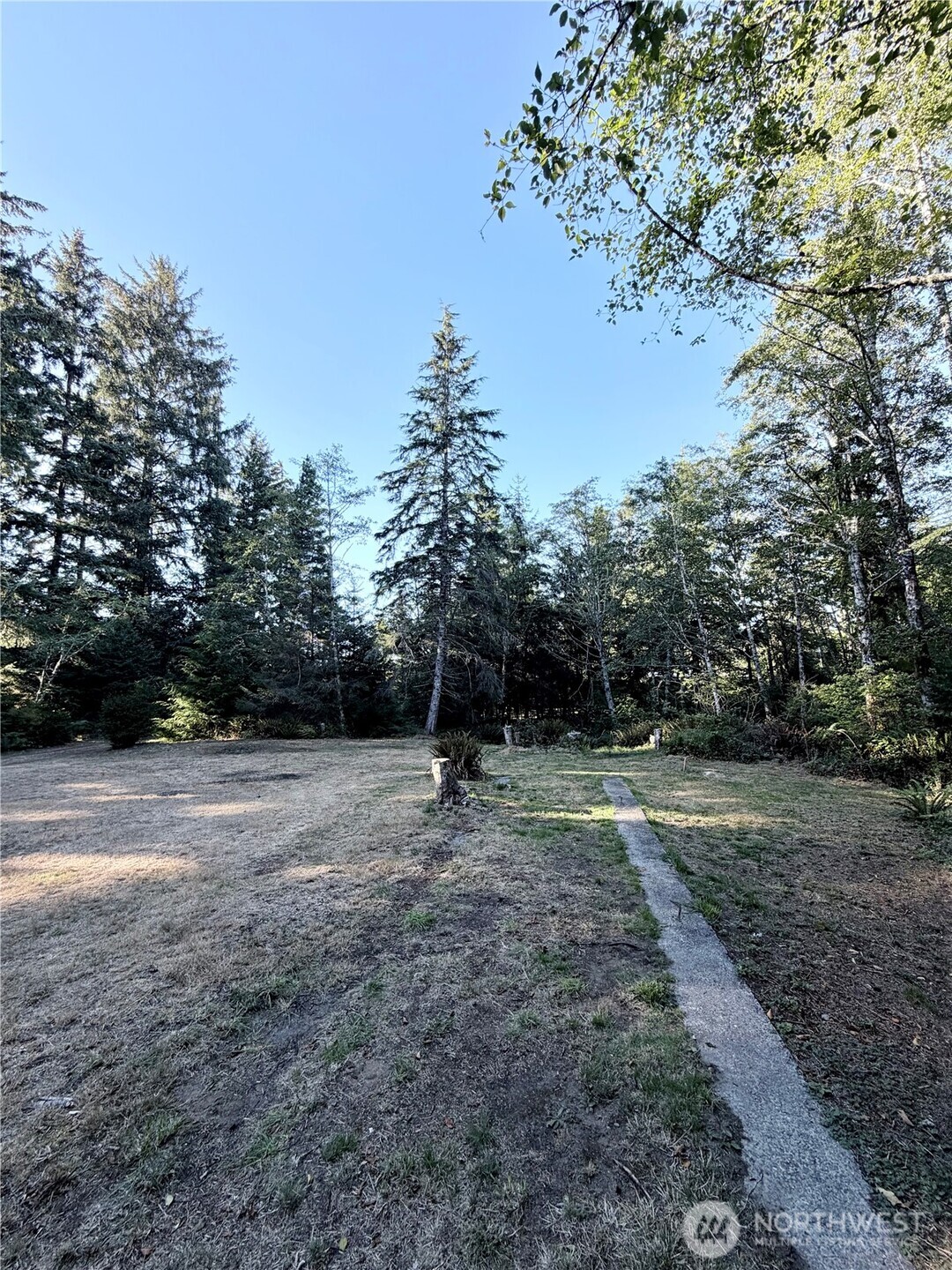 28310 Y Lane Property Photo 4