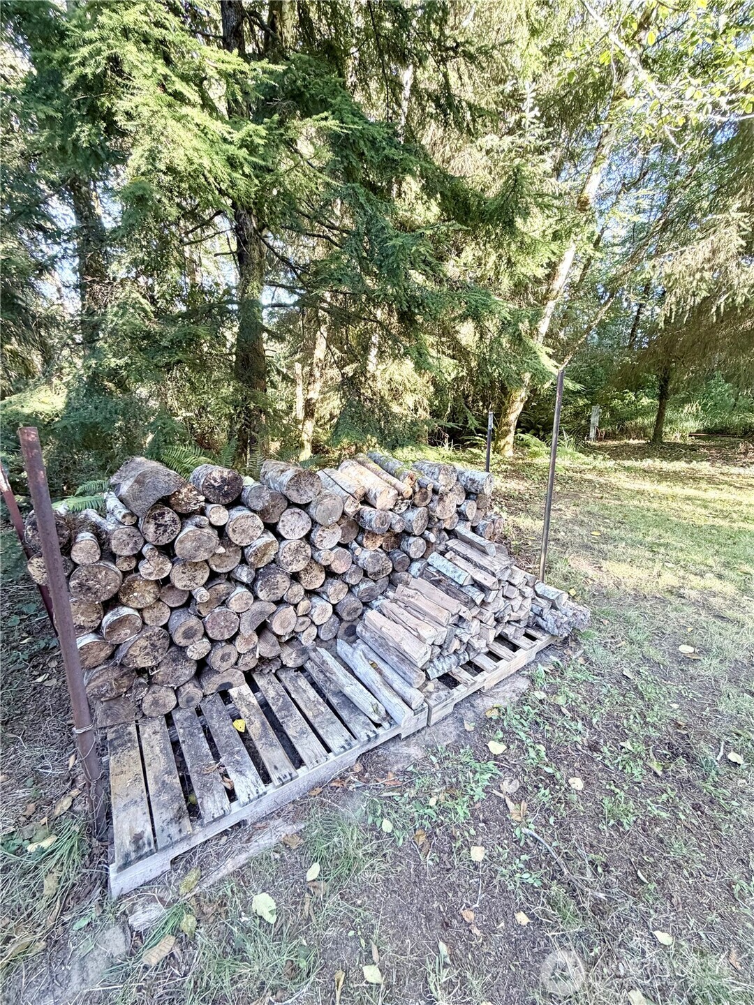 28310 Y Lane Property Photo 17