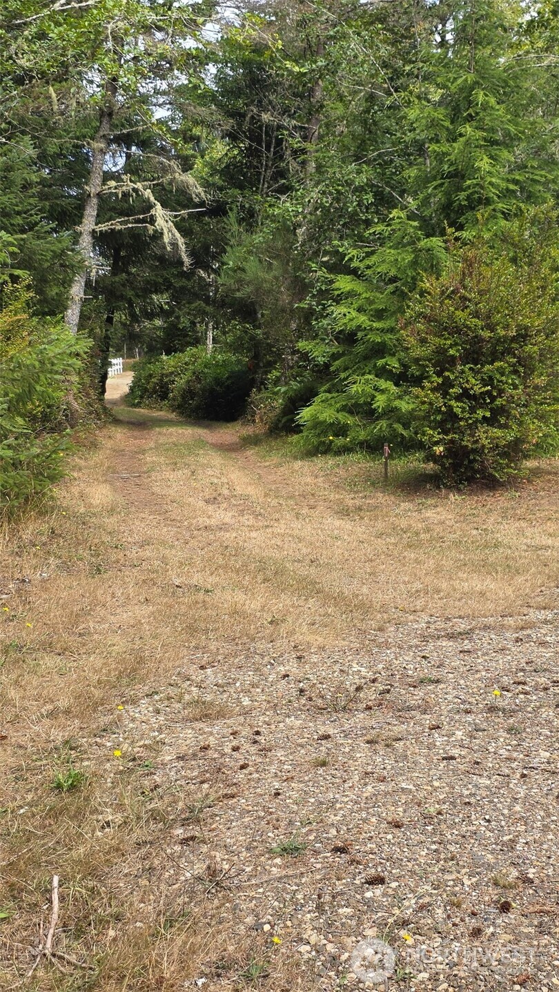 28310 Y Lane Property Photo 19