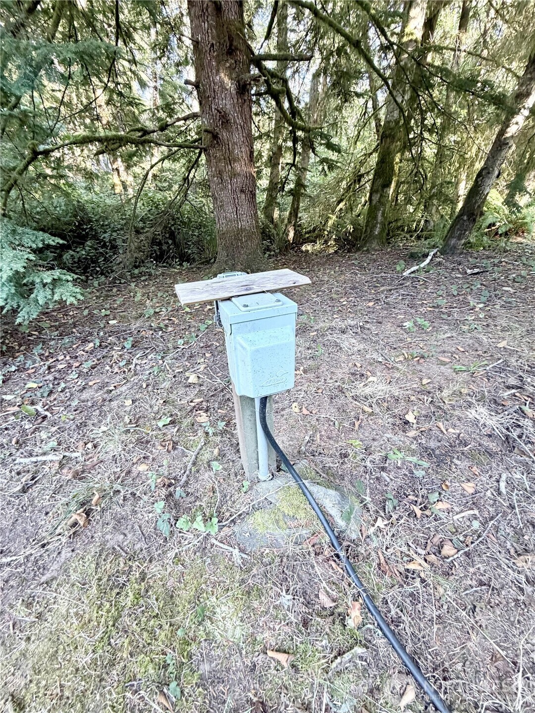 28310 Y Lane Property Photo 22