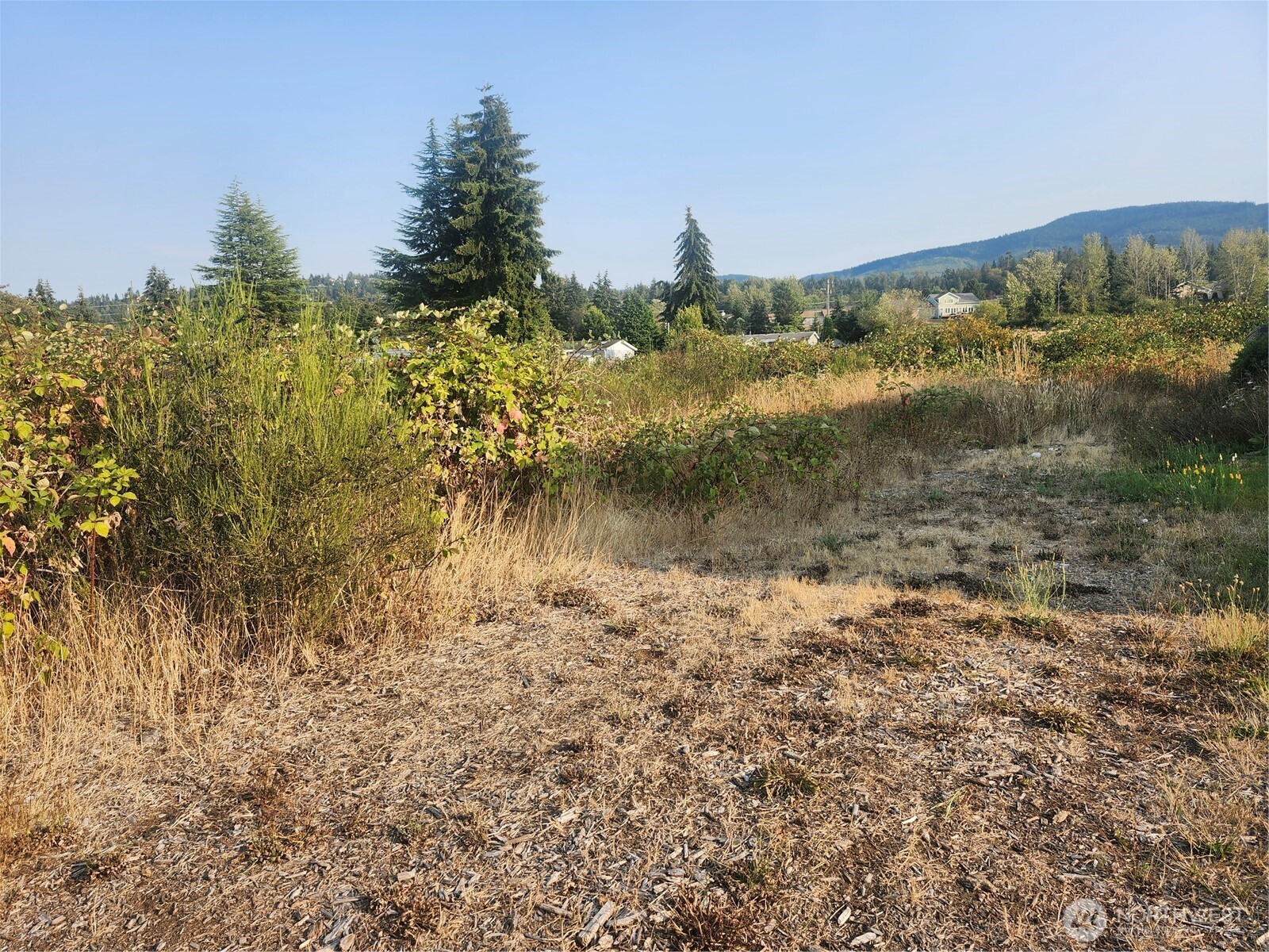 421 Salal Place Property Photo 2