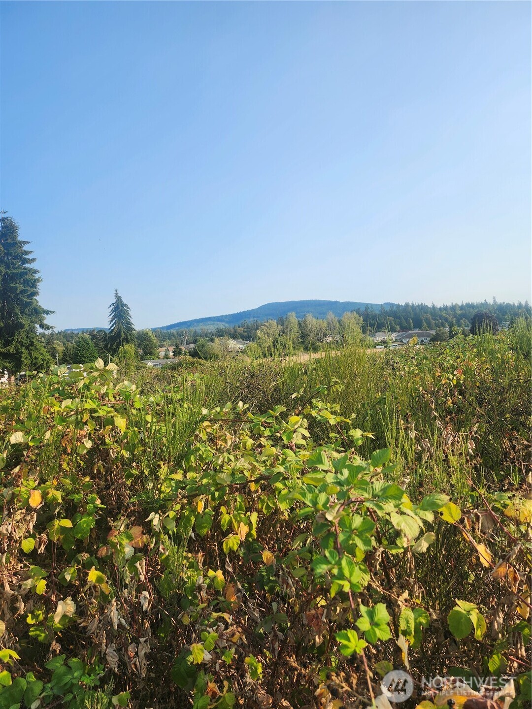 421 Salal Place Property Photo 7