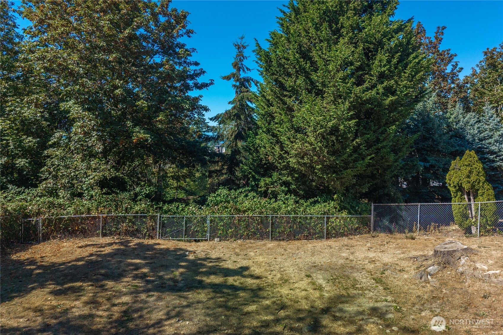 2002 S 280th Place Property Photo 30