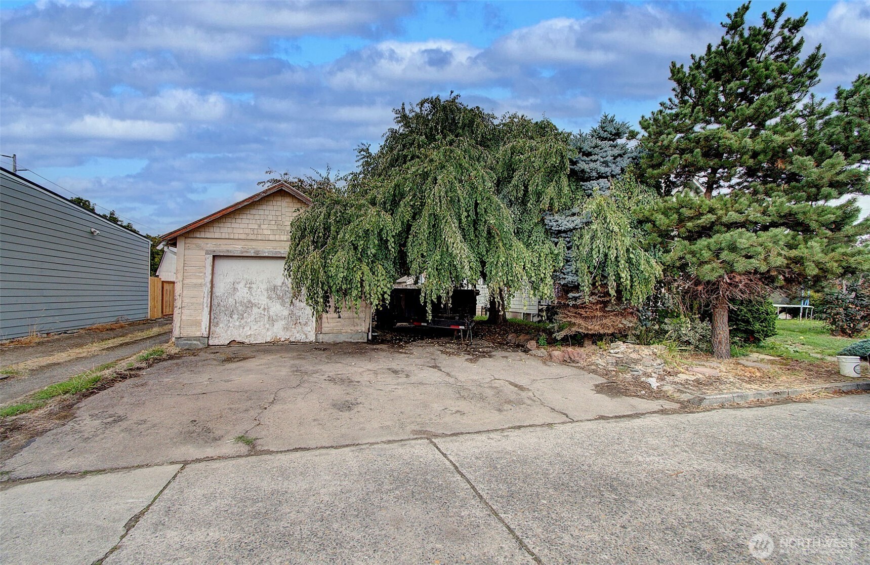 507 Alder Street Property Photo 5