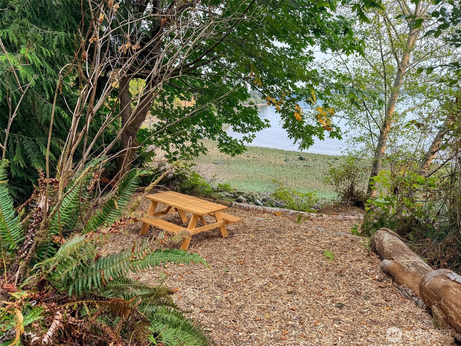 155 Burns Road Property Photo 4