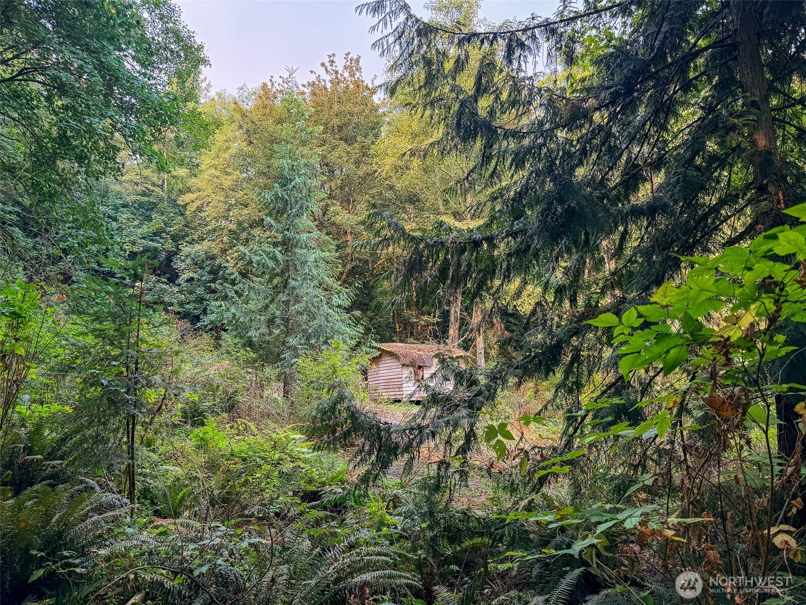 155 Burns Road Property Photo 9