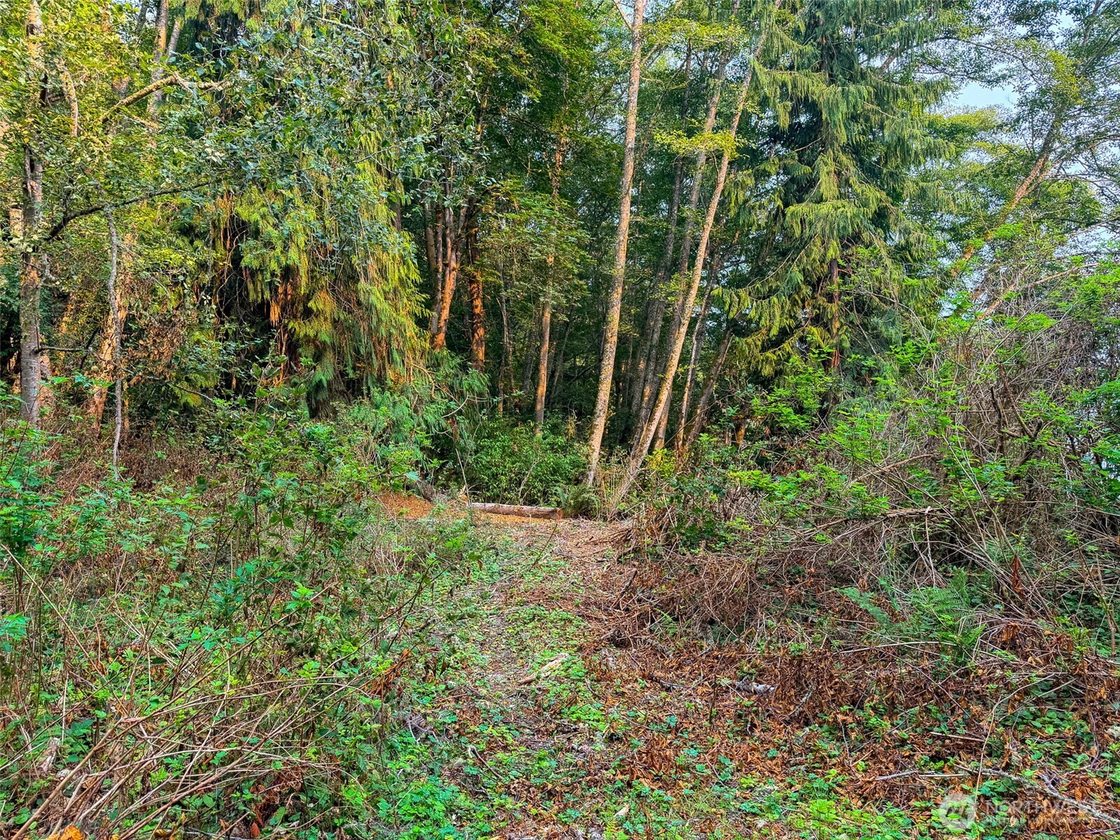 155 Burns Road Property Photo 15
