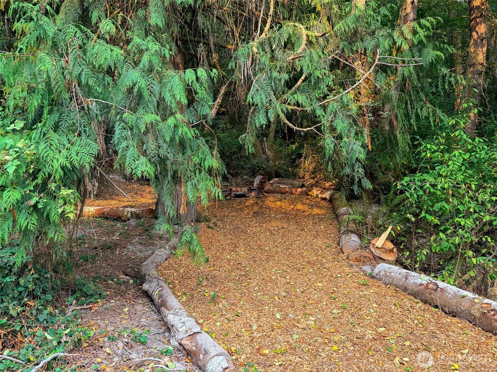 155 Burns Road Property Photo 16