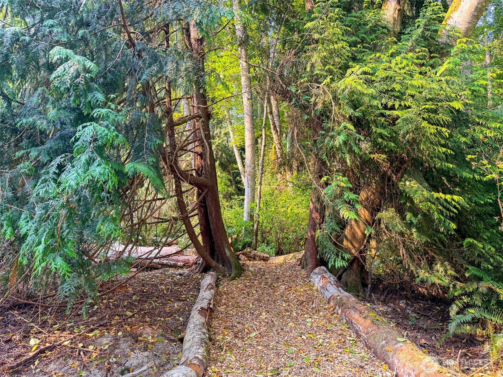 155 Burns Road Property Photo 18