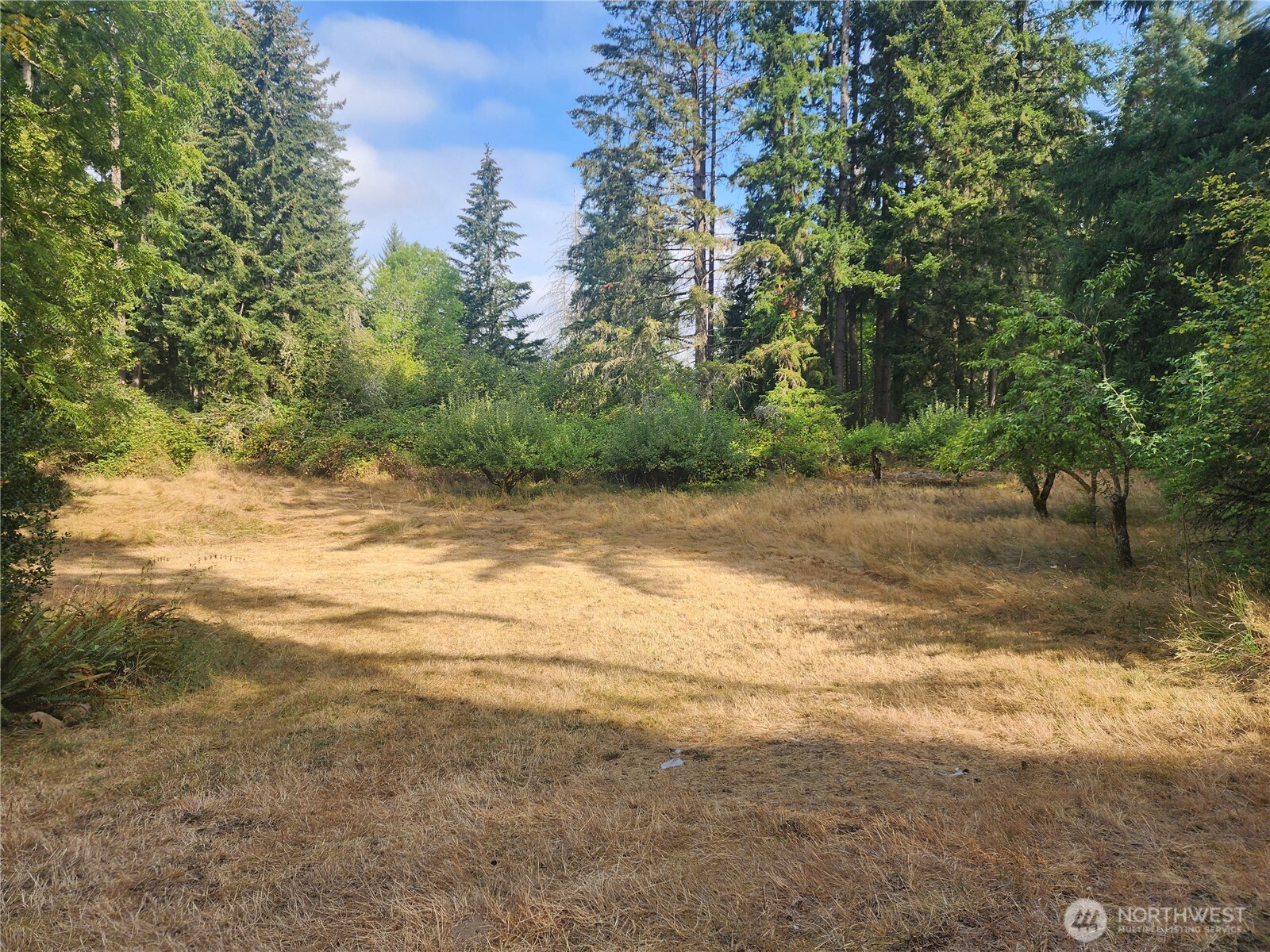 11719 Hobby Street Property Photo 3