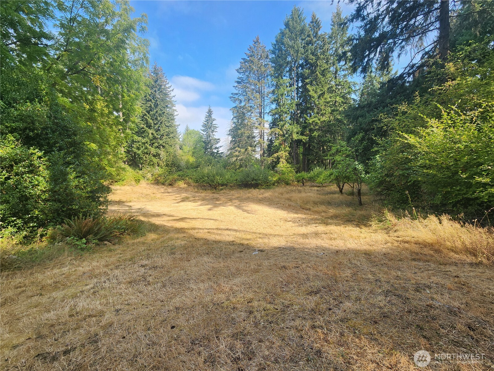 11719 Hobby Street Property Photo 4