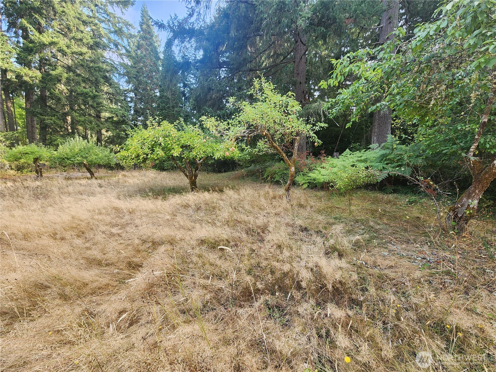 11719 Hobby Street Property Photo 5
