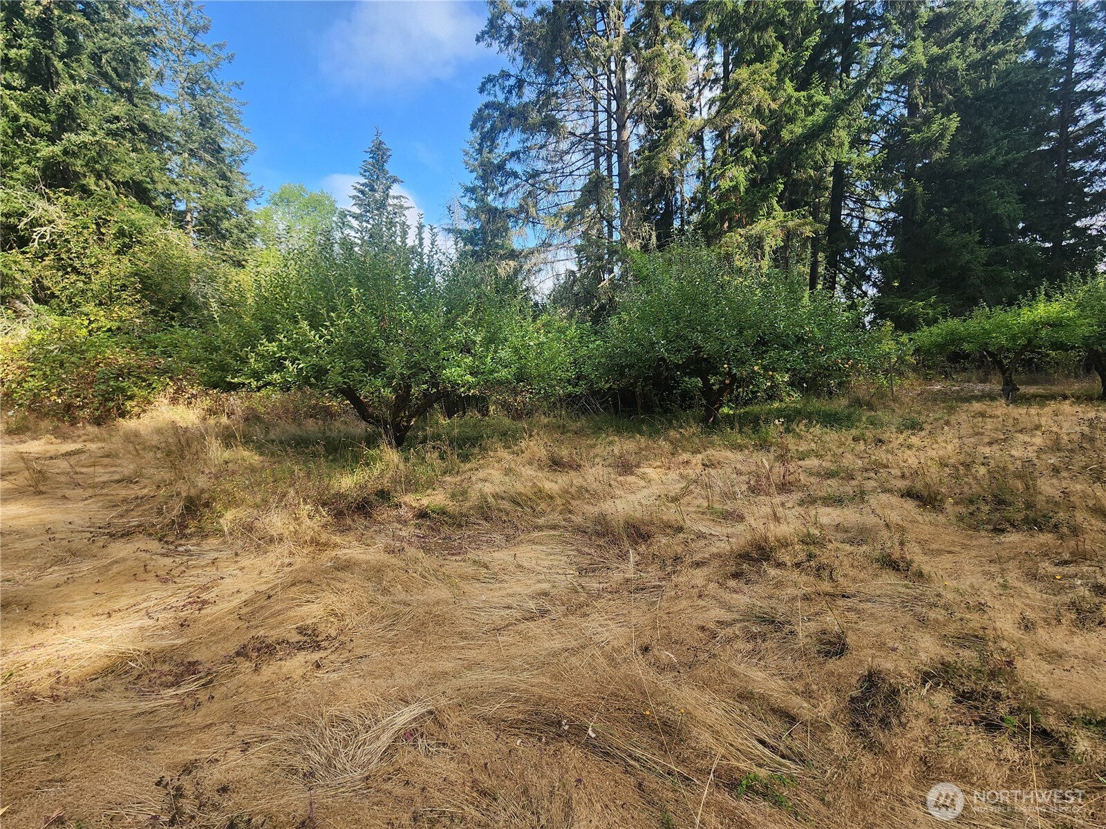 11719 Hobby Street Property Photo 6