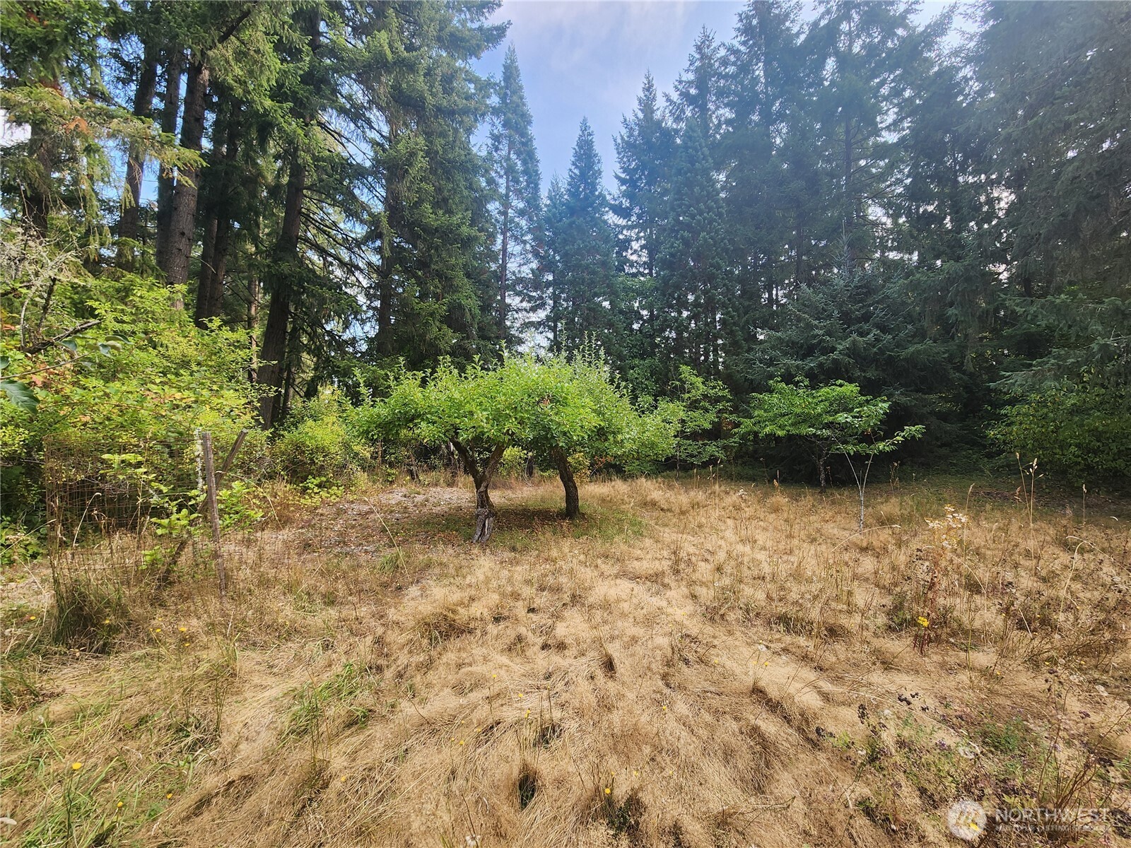 11719 Hobby Street Property Photo 8