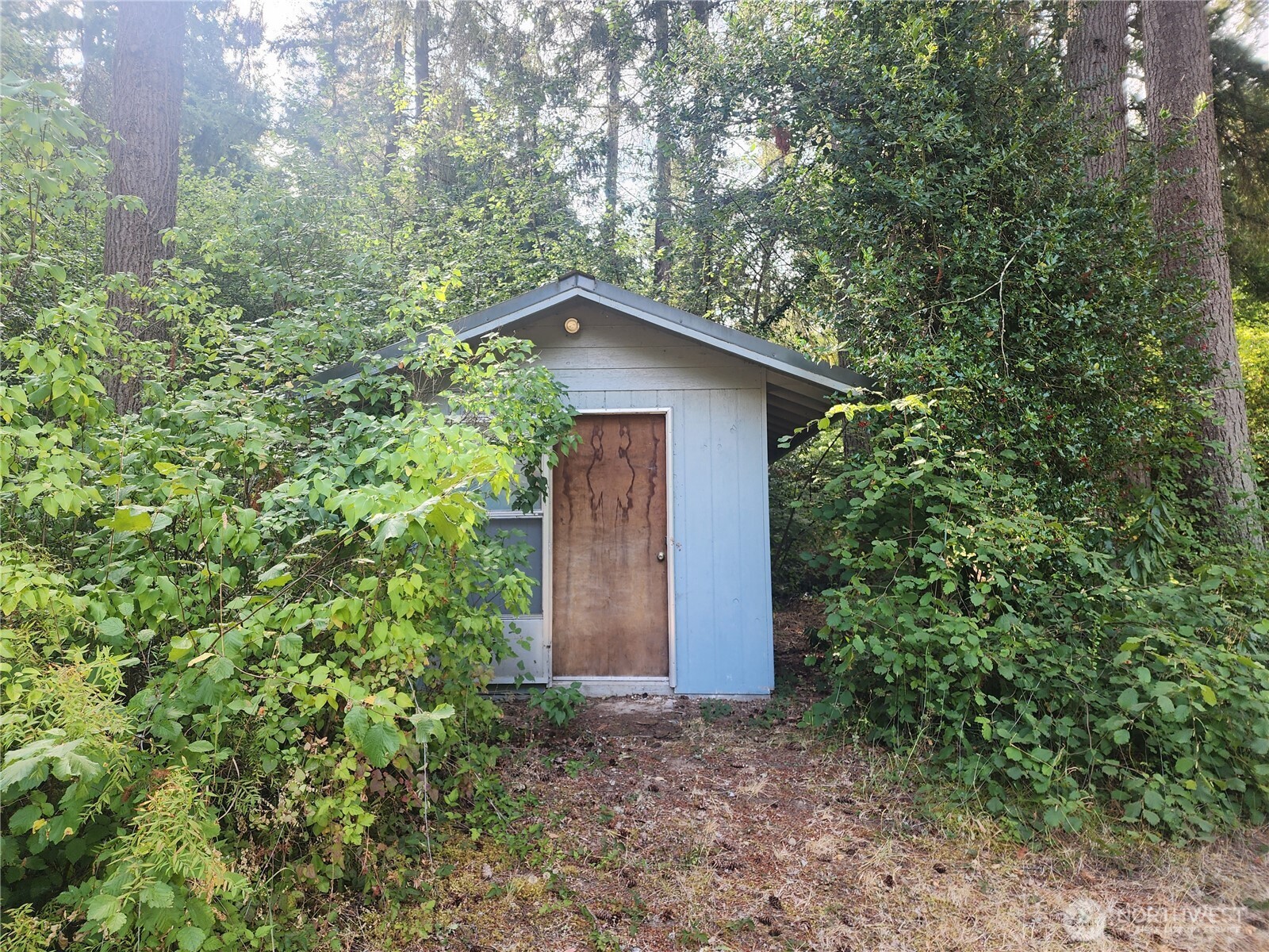 11719 Hobby Street Property Photo 13