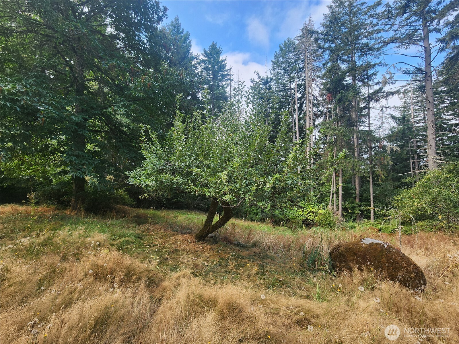 11719 Hobby Street Property Photo 17