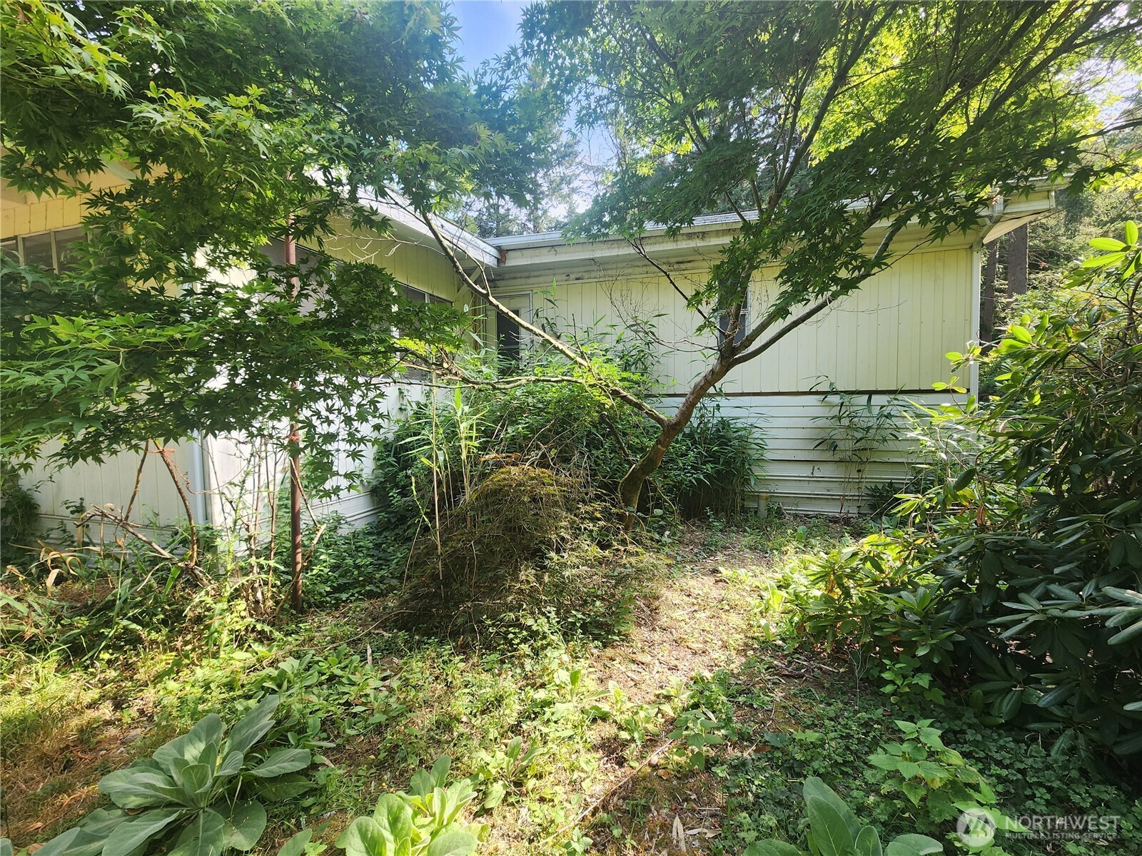 11719 Hobby Street Property Photo 21