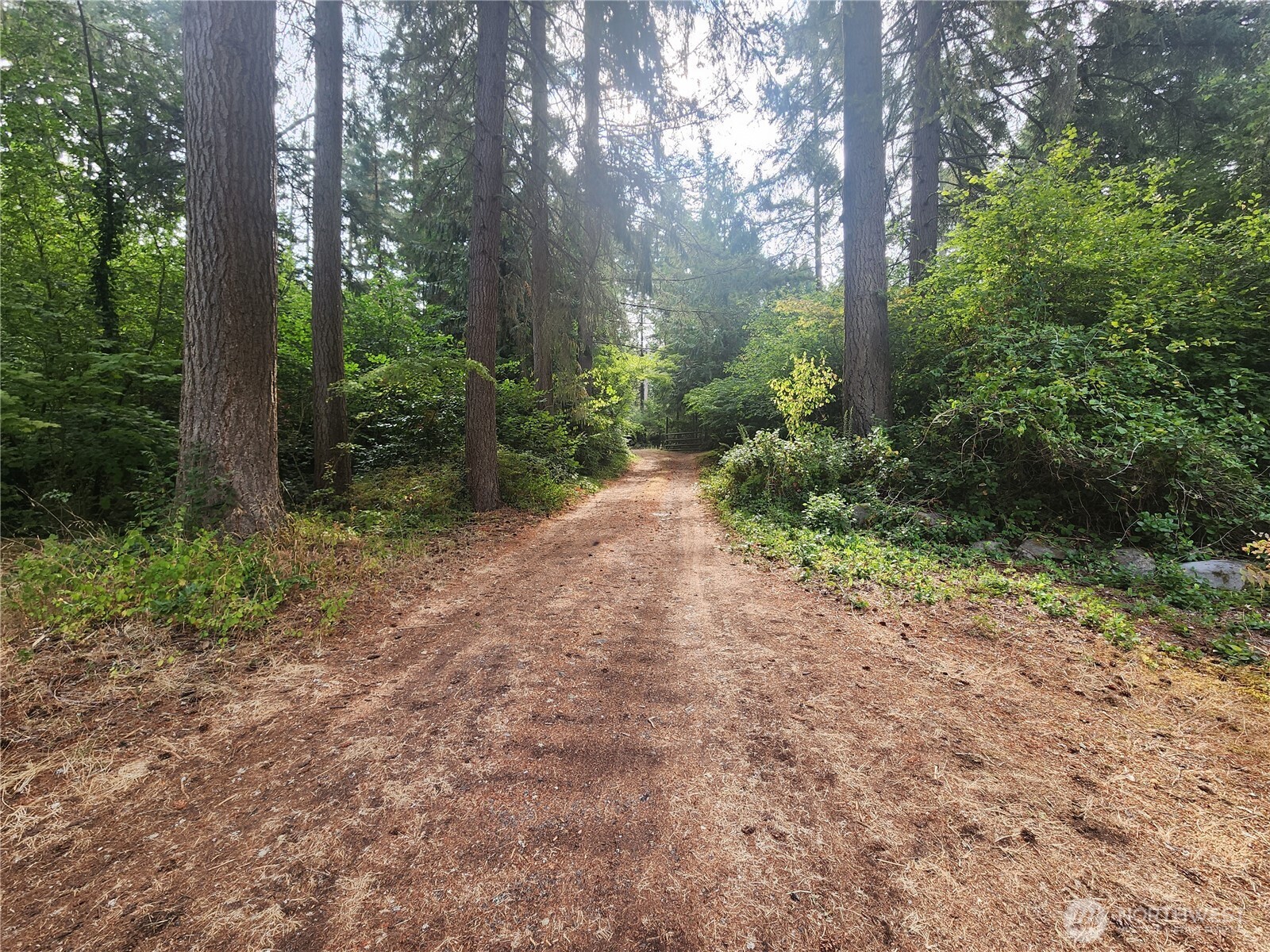 11719 Hobby Street Property Photo 24
