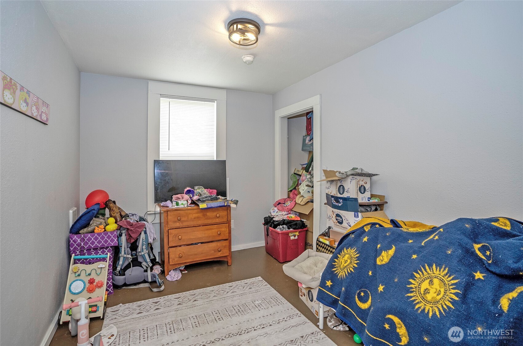 110 Alder Street Property Photo 16