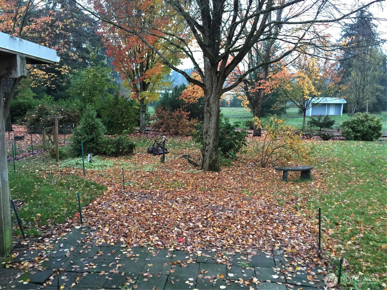 16631 Case Road Property Photo 24