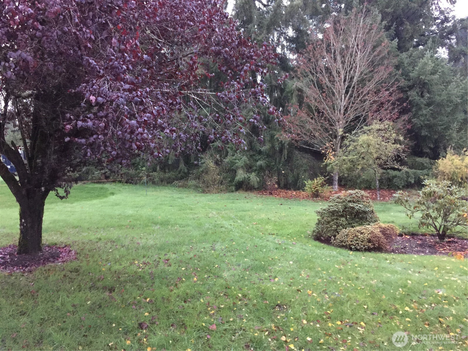 16631 Case Road Property Photo 25