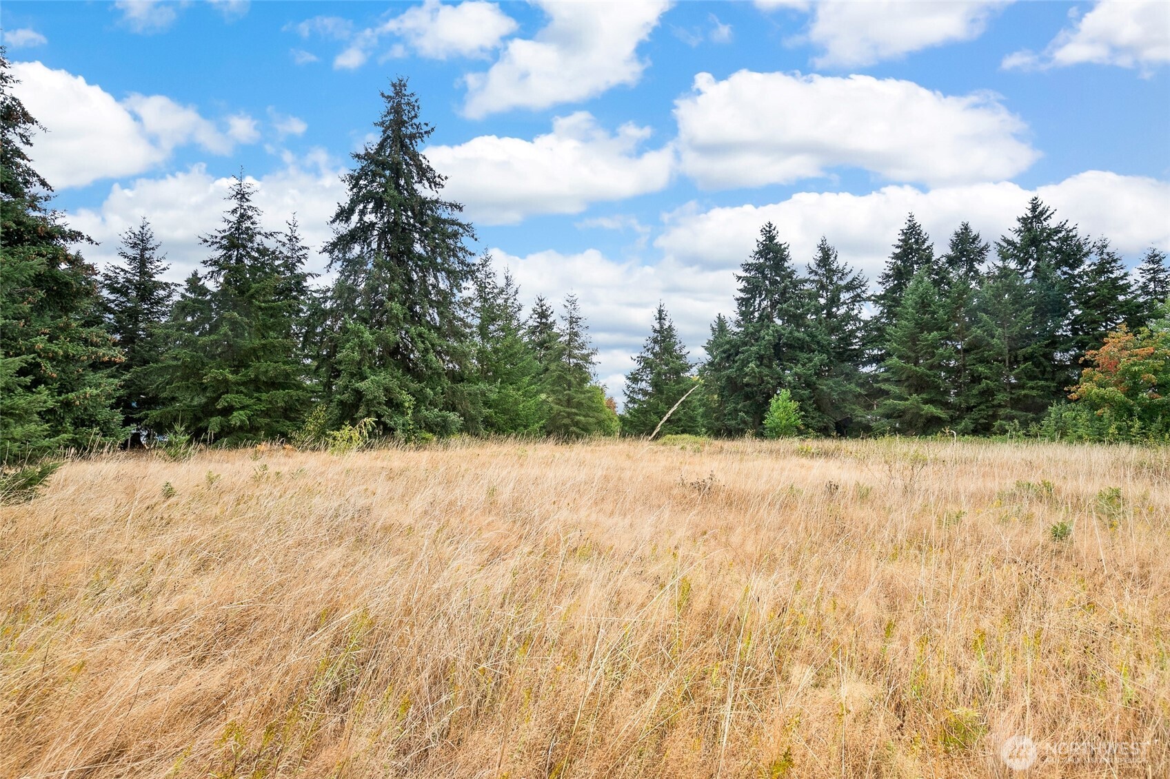 16631 Case Road Property Photo 30