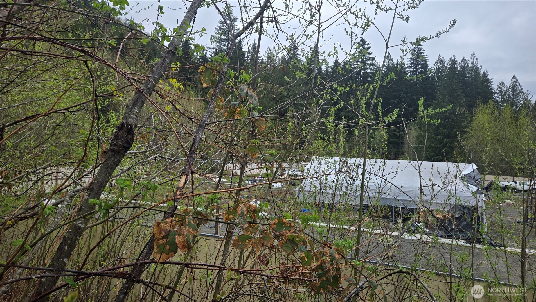 5898 Mt Baker Highway Property Photo 22