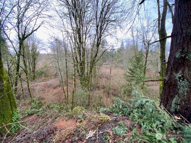 132 &129 Linda Street Property Photo 1