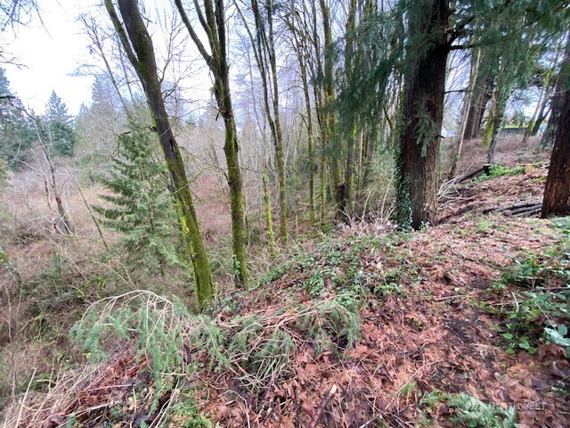 132 &129 Linda Street Property Photo 2