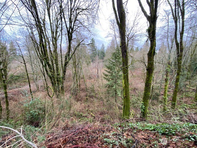 132 &129 Linda Street Property Photo 6