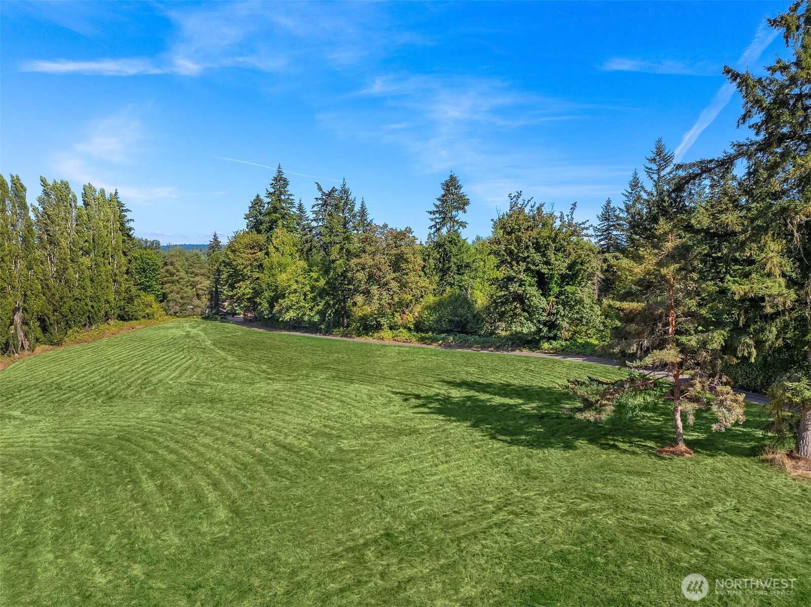 11811 184th Avenue Property Photo 39