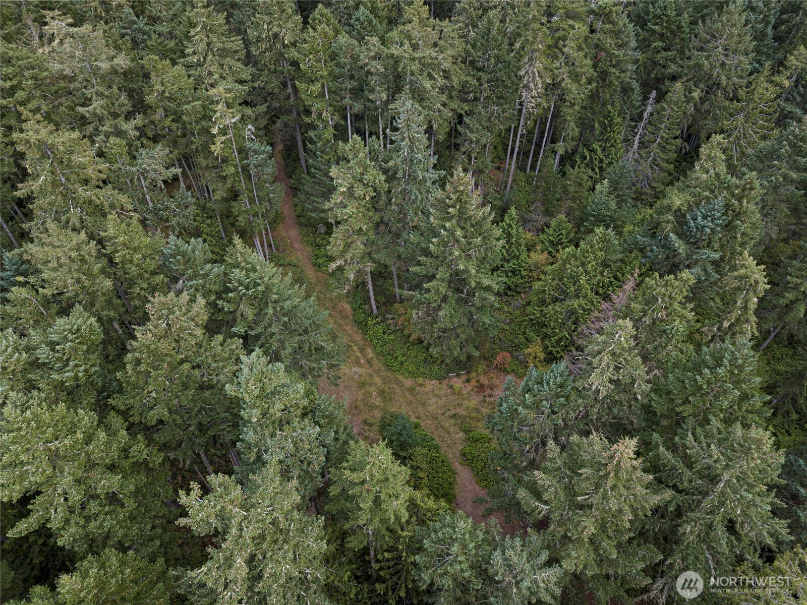 0 Three Corners Lake Road Property Photo 11