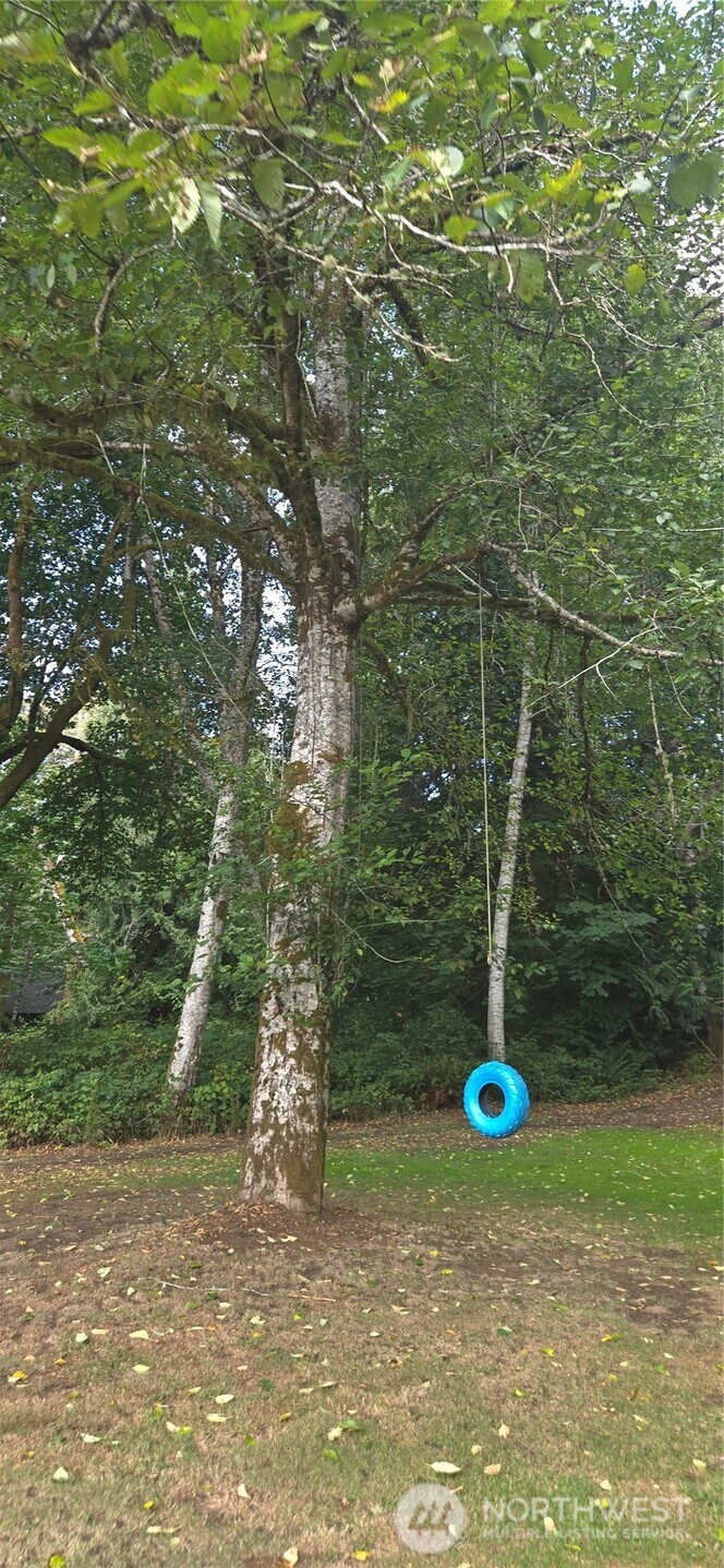 41 Tornow Drive Property Photo 8