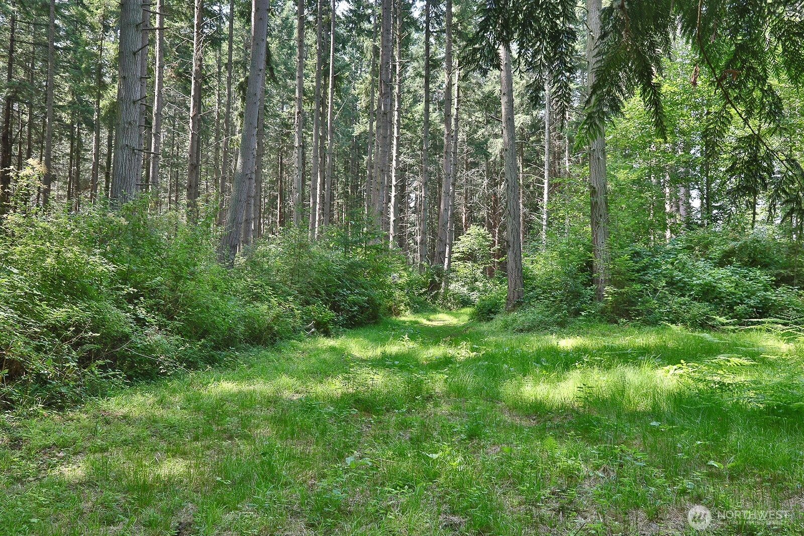 0 Xxx Hellman Road Property Photo 3