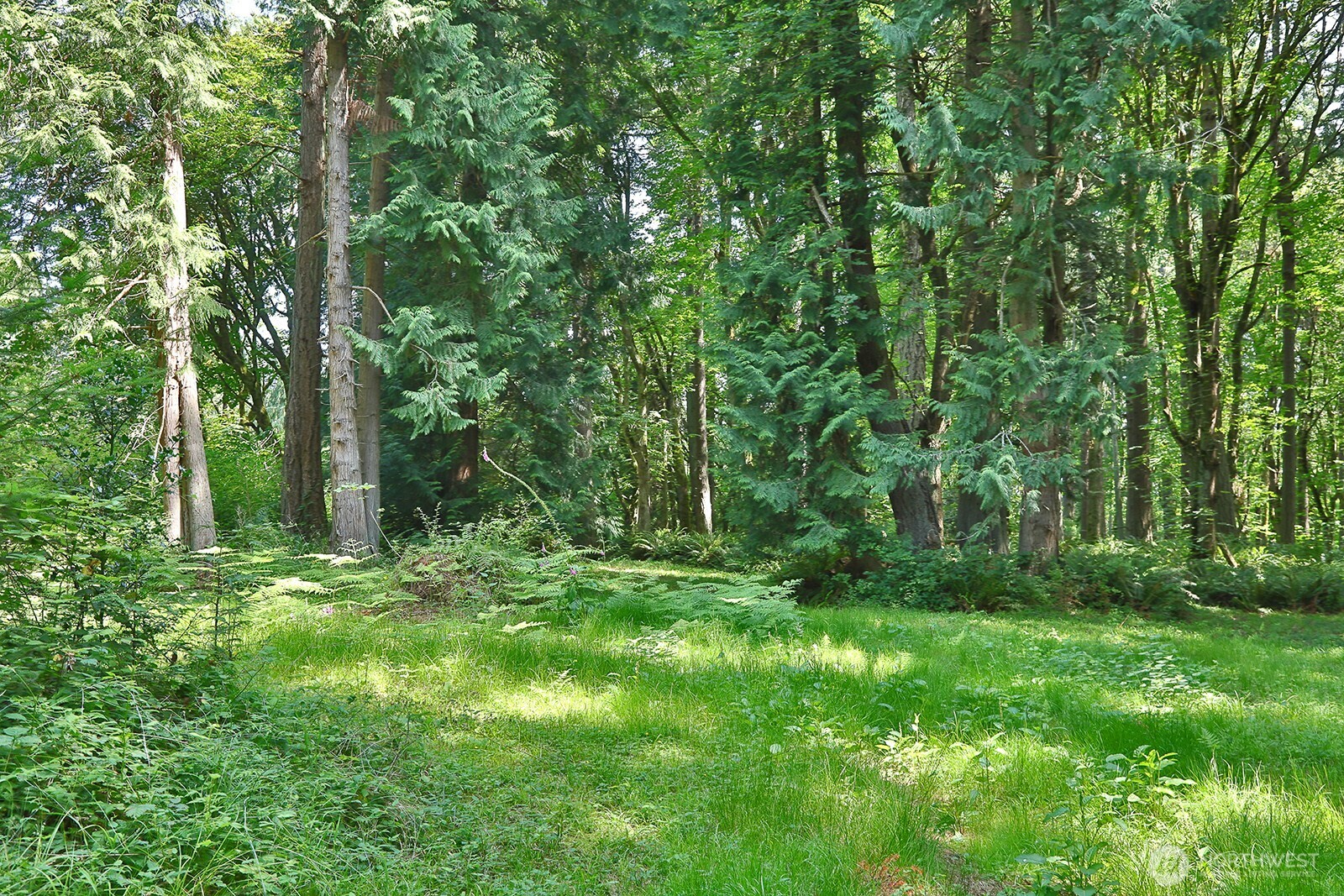 0 Xxx Hellman Road Property Photo 10