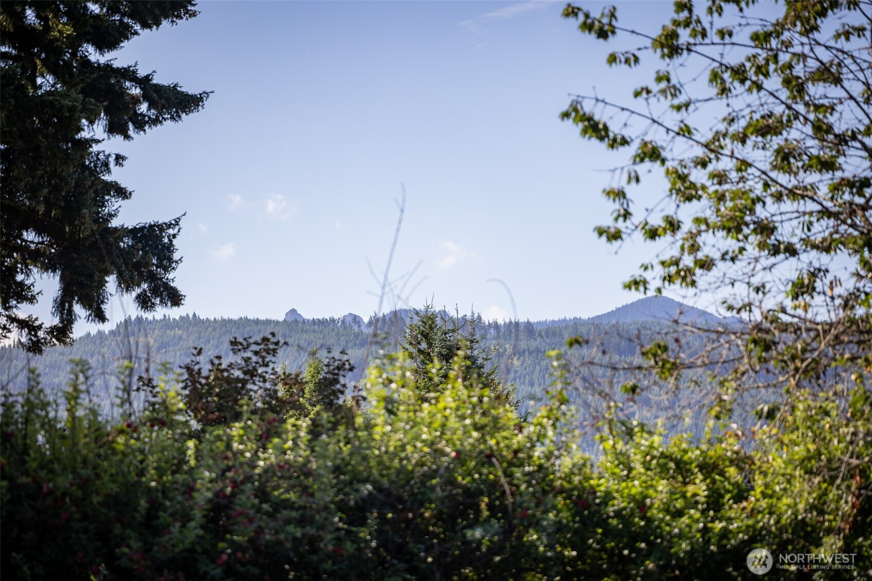 50 Mapleton Way Property Photo 6