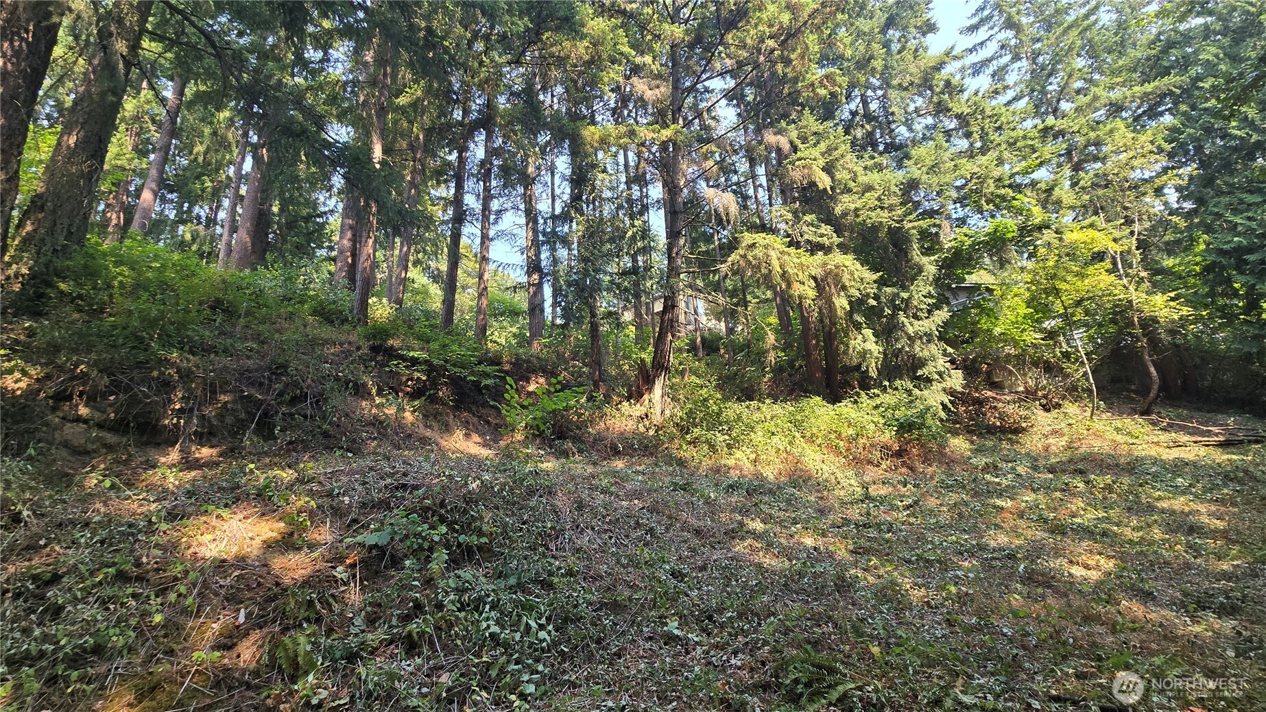 1320 207th Place Property Photo 11
