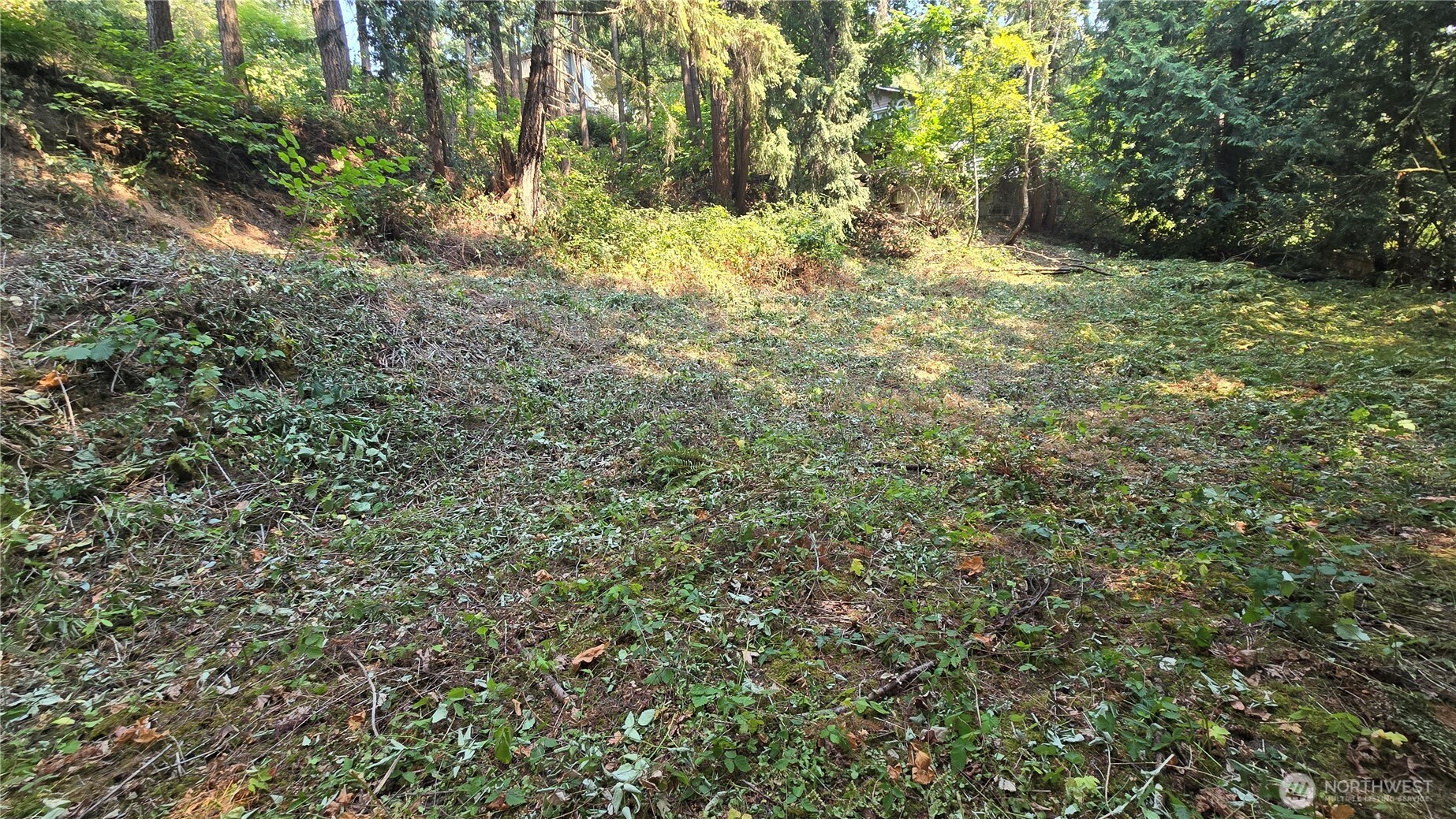1320 207th Place Property Photo 12