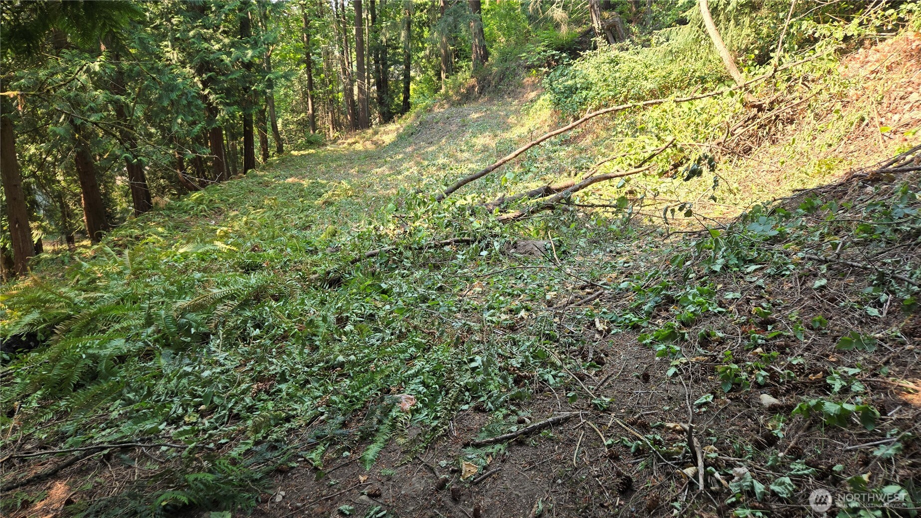 1320 207th Place Property Photo 16