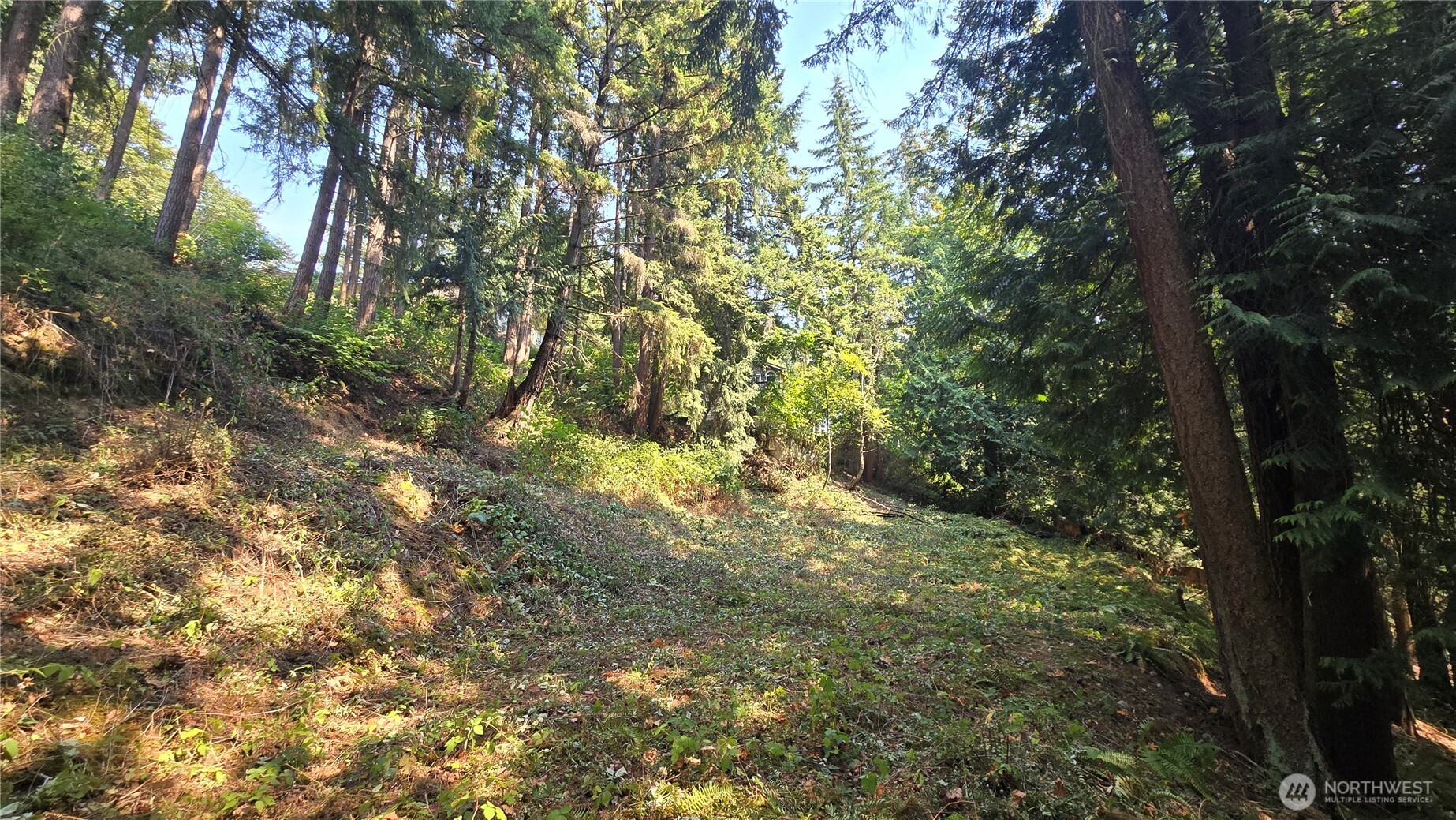 1320 207th Place Property Photo 17