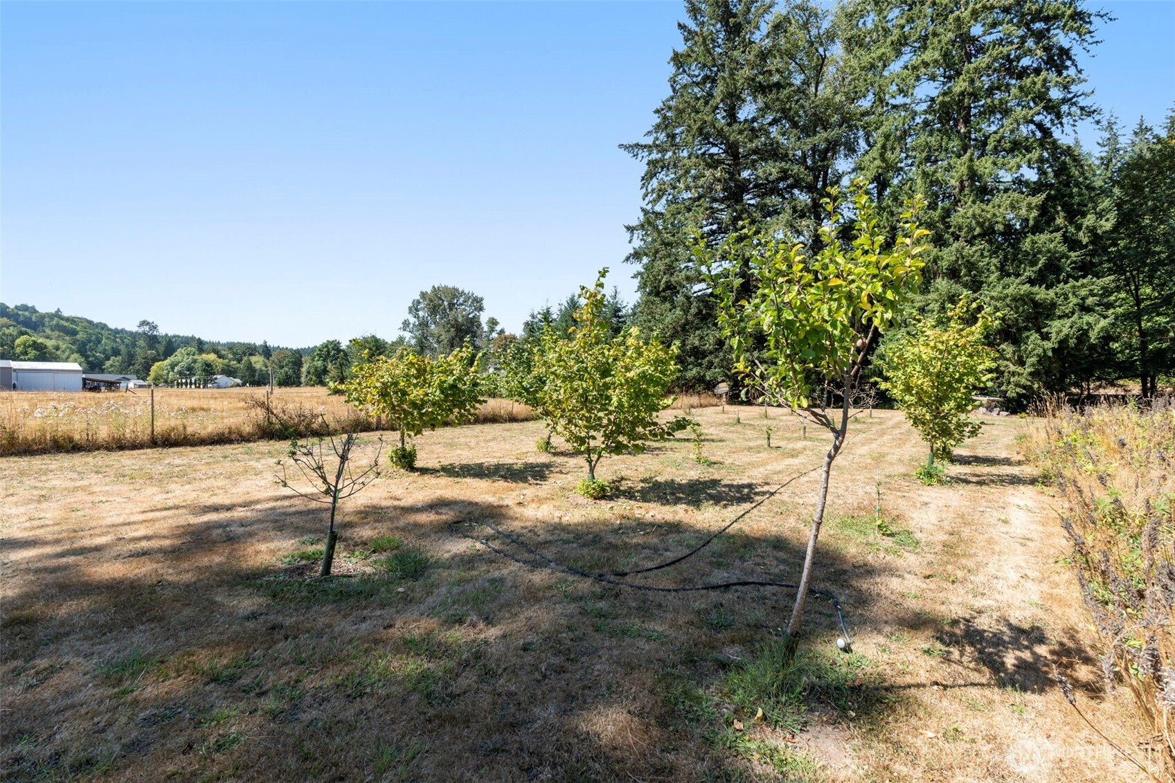 364 Blanchard Road Property Photo 28